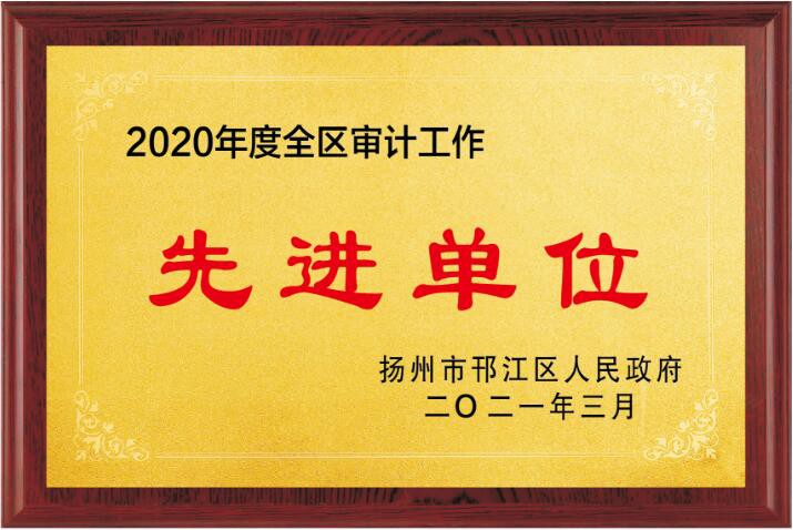 2020年度全区审计工作先进单位